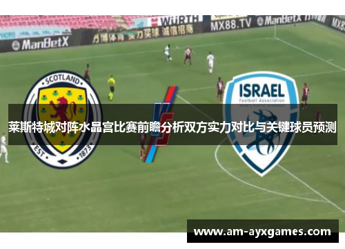 莱斯特城对阵水晶宫比赛前瞻分析双方实力对比与关键球员预测