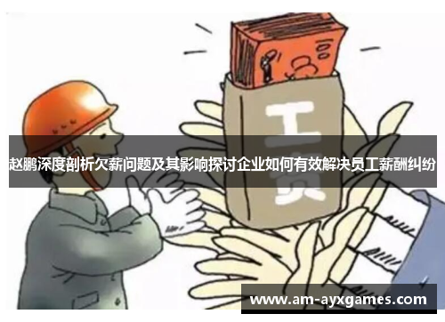 赵鹏深度剖析欠薪问题及其影响探讨企业如何有效解决员工薪酬纠纷