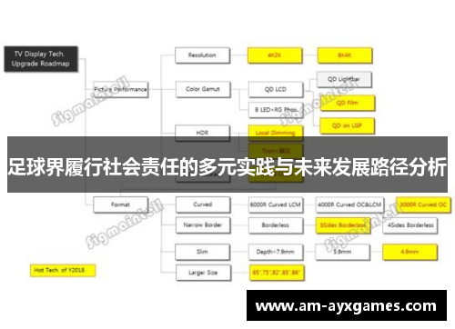 足球界履行社会责任的多元实践与未来发展路径分析
