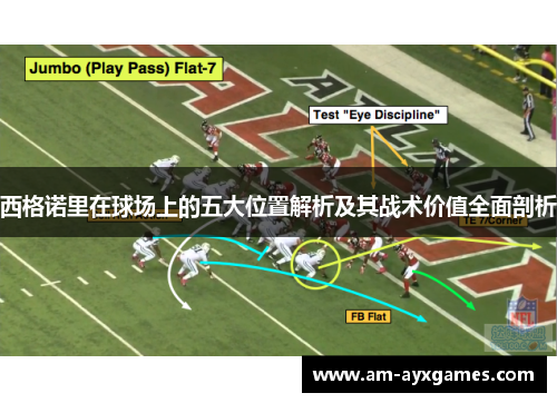 西格诺里在球场上的五大位置解析及其战术价值全面剖析