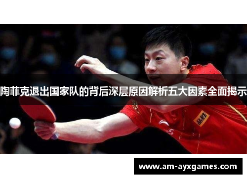 陶菲克退出国家队的背后深层原因解析五大因素全面揭示